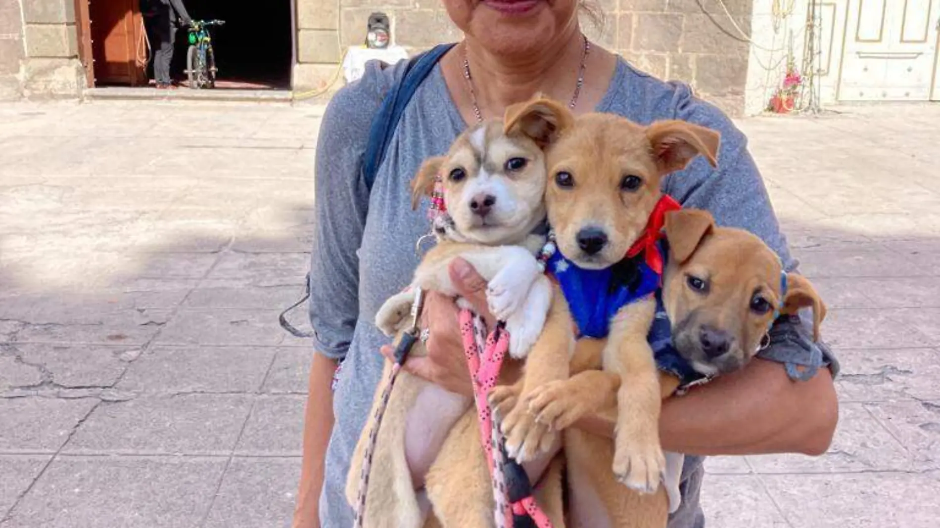 Poblanos llevan a sus mascotas a bendecir en agradecimiento a su fidelidad y compañía